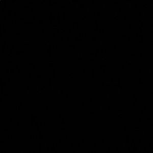 COPY - Christian Louboutin‘s Black suede